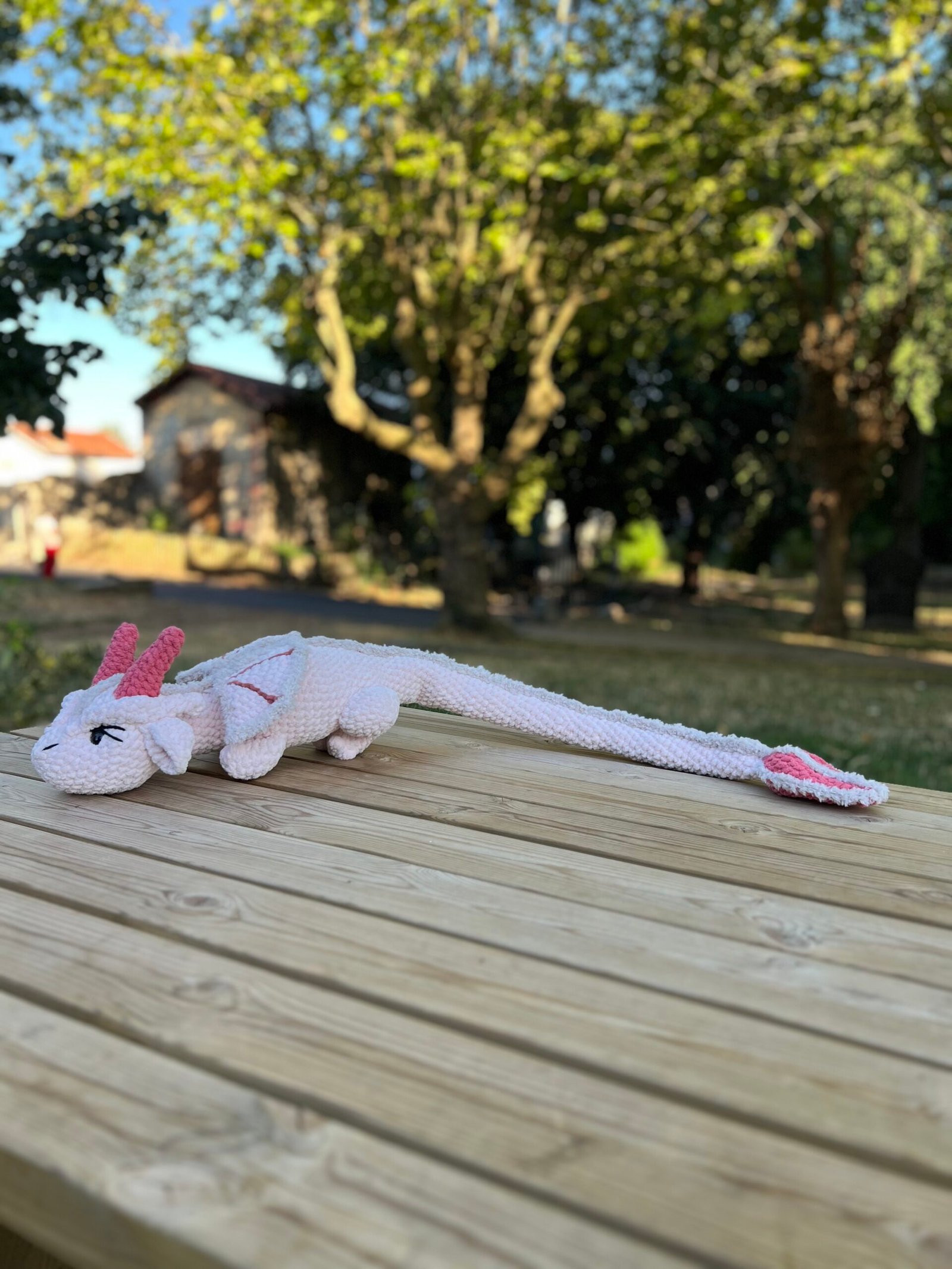 Dragon gĂ©ant â Image 3