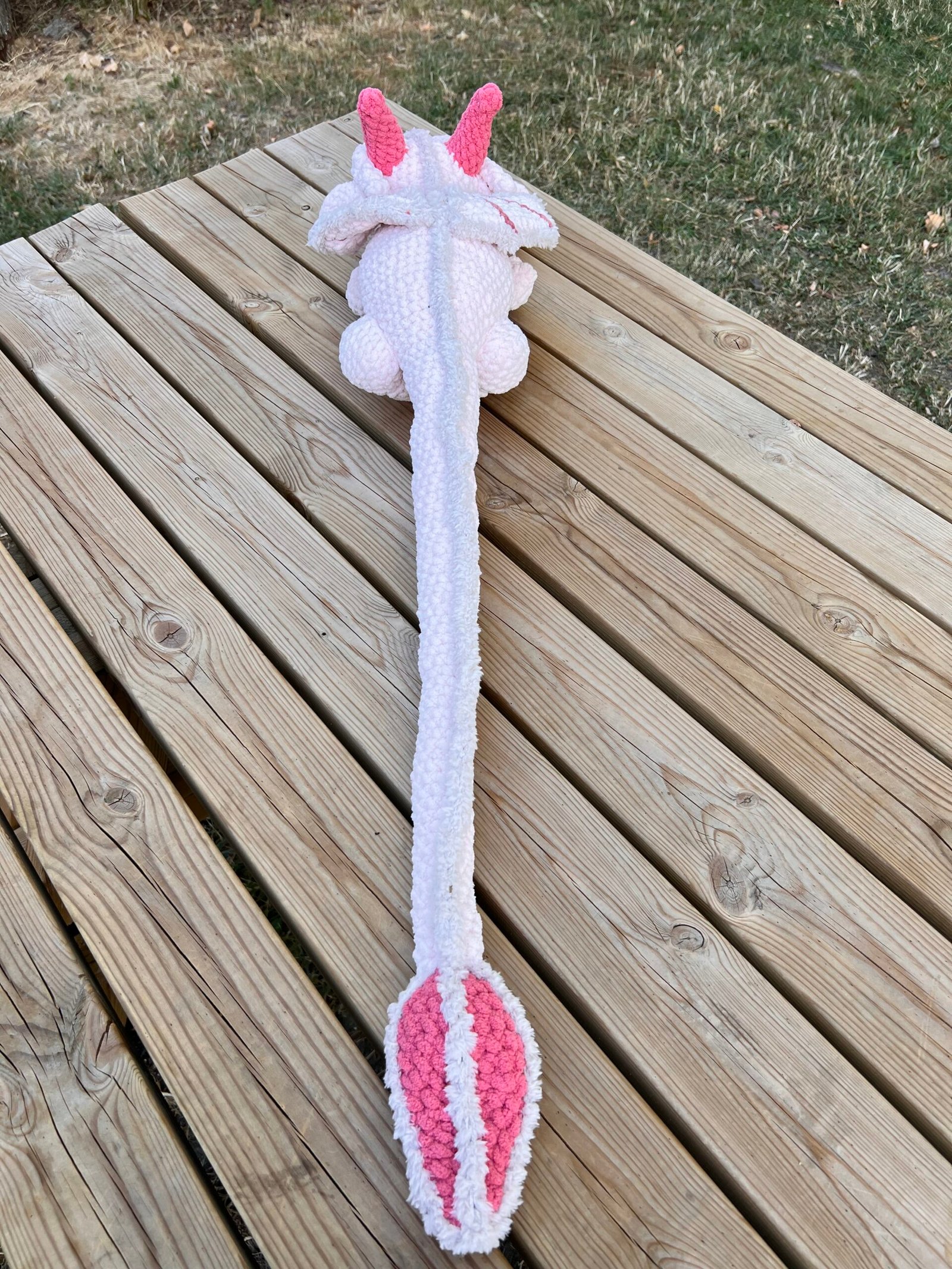 Dragon gĂ©ant â Image 2